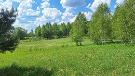 Лучны 570 соток