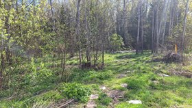 Алёшинка, СНТ Коттедж 9 соток