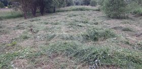 Петрово 13 соток